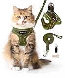 (シリーズ累計2万個突破) Petiam 猫 ハーネス リード 猫用 抜けない ダブルロック リードセット 迷子札付き お散歩セット (グリーン, M)