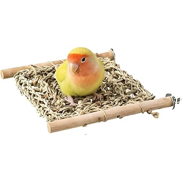 Amazon.co.jp 最新リリース: 鳥用品 の新着ランキングです。