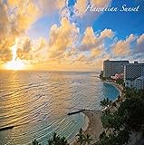 �n���C�A���E�X���b�N�E�L�[�E�M�^�[�E�}�X�^�[�Y�E�V���[�Y11 �n���C�A���E�T���Z�b�g