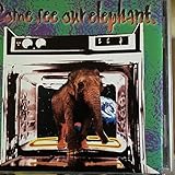 �S�[���f�� �x�X�g