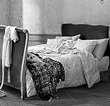 French Country Style Floral Lace Print Duvet Cover and Pillowcase 2pc Set Twin Single Size 100% Cott