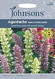 FYF 英国ジョンソンシード First Year Flowering Perennials Agastache Blue & White Mixed ファースト・イヤー・フラワリング・ペレニアル・ア