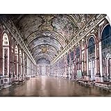 The Henry Ford壁Peel壁アート印刷entitled Versailles。Galerie Des Glaces 60" x 45" ah0200-0652_14_60x45_none