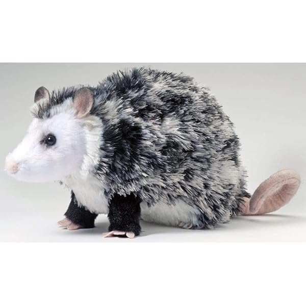 opossum stuffed animal