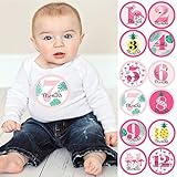 Flamingo - Party Like a Pineapple - Monthly Baby Sticker Set - Baby Shower Gift Ideas - 12 Piece [並行