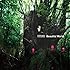RAM WIRE「Beautiful World」