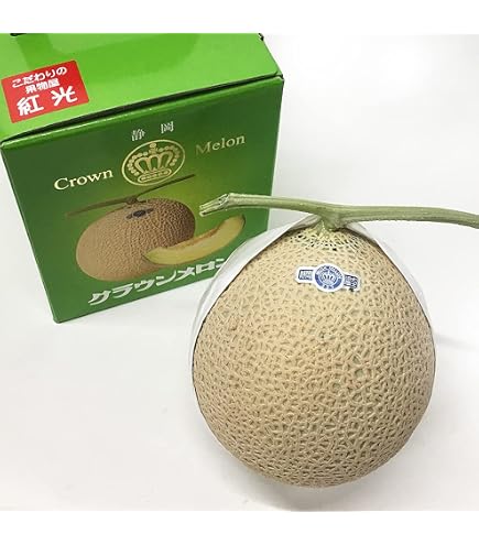 Amazon.co.jp: お中元 マンゴー 太陽のタマゴ 青秀 4L 500g以上×2玉 JA