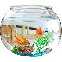 Amazon | Heuitgs 金魚鉢 水槽 金魚鉢 猫 用 金魚鉢 猫が入る