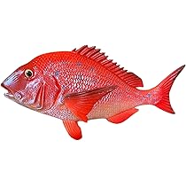 鯛 魚 オブジェ 置物 丁寧な暮らし 鯛 チヌ 魚 黒鯛 置物 置き物 インテリア オブジェ フィギュア