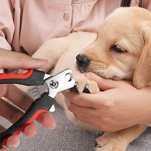 ペット 爪切り ネイルトリマー 犬用ネイルケア 猫用ネイルカッター