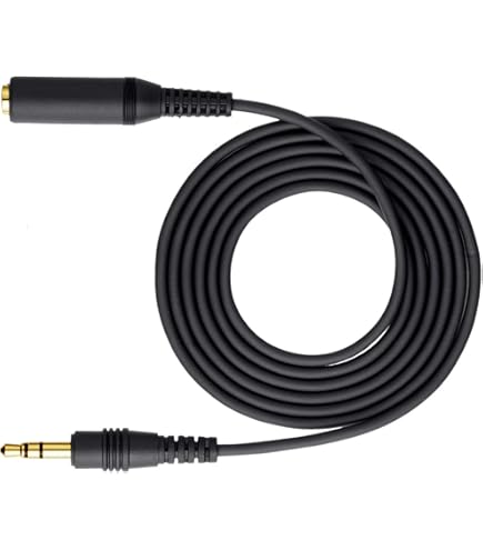Amazon.co.jp: JVCケンウッド ビクター マイク延長コード 10m CN-215
