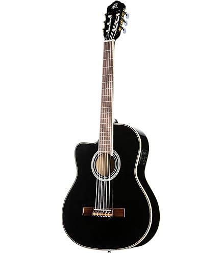Amazon | ARIA アリア フラメンコギター ソフトケース付 A-100F