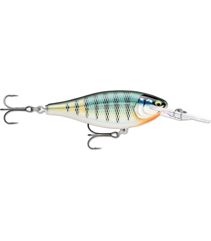 rapala ラパラ　ルアー ラパラ X-rapマグナムBG トローリングルアー サイズ40 Rapala X-Rap