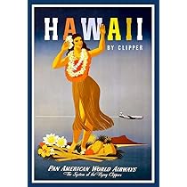 Amazon.co.jp: ポスター affiche ハワイ ヴィンテージ トラベル レトロ