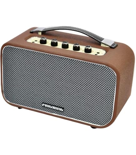 LANEY (レイニー) アコースティックギターアンプ LA10 Amazon.co.jp: LANEY (レイニー) アコースティックギターアンプ LA10