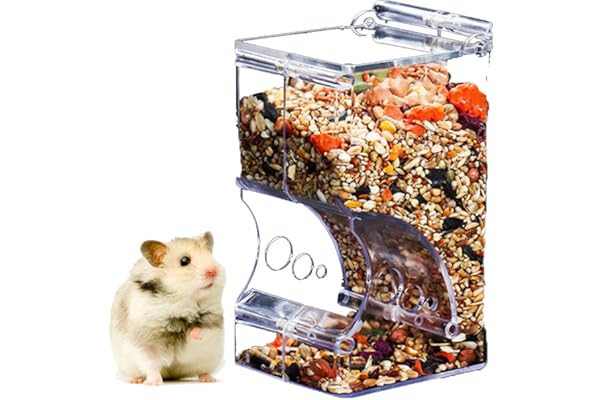 automatic hamster feeder with timer