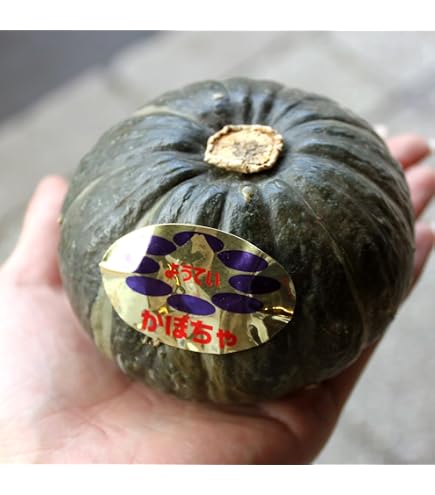 Amazon.co.jp: 北海道剣淵産 雪化粧かぼちゃ 10kg (4～7玉)×1箱【出荷
