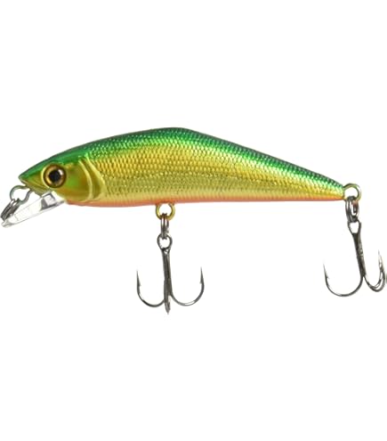 Amazon | スミス Dコンタクト 50 展示会限定カラー／トラウト ＃90