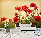 wall26 - 自着性ウォールペーパー Large Wall Muralシリーズ 100"x144" WMR-WP-X-C355-100x24x6