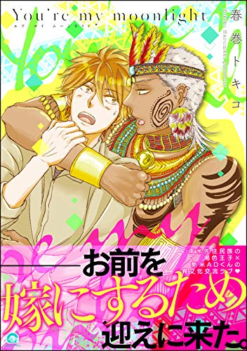 『You’re my moonlight』