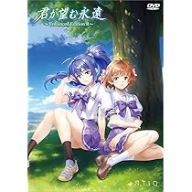 君が望む永遠 Enhanced Edition パッケージ版 Amazon.co.jp: 君が望む永遠 ~Enhanced Edition R~ 初回生産