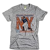 ヨエニス・セスペデスCity Heather Gray S