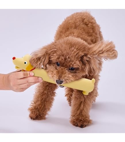 Amazon | ペティオ (Petio) 犬用おもちゃ ながーいラテックスTOY