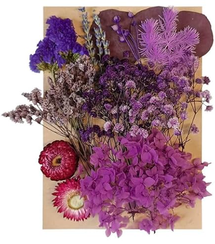 Amazon | フレッシュオレンジ 花材詰め合わせ 花材セット オレンジ系