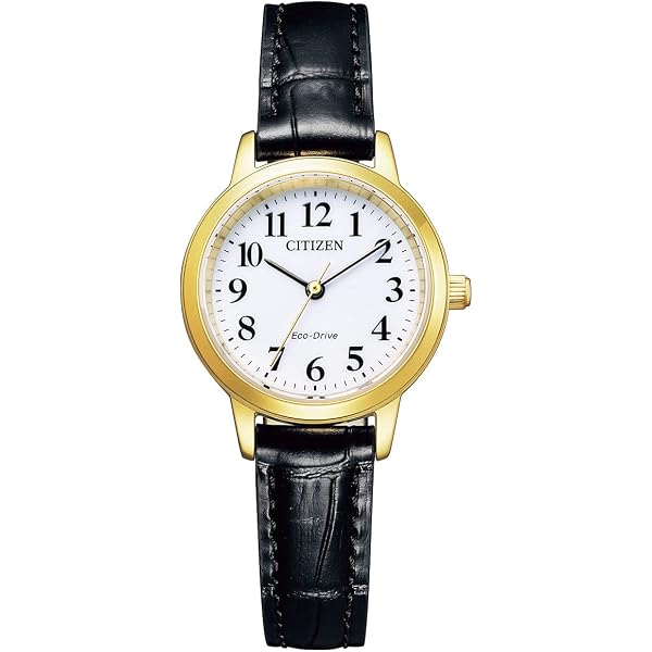 Amazon.co.jp: [CITIZEN] 腕時計 BJ6541-15A 光発電エコ・ドライブ 10