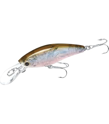 Amazon.co.jp: 小型 小さい ダイビング ミノー シャッド 5色 セット