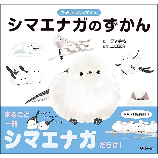 Amazon.co.jp: シマちゃん モモちゃん もりのなか (世界文化社の