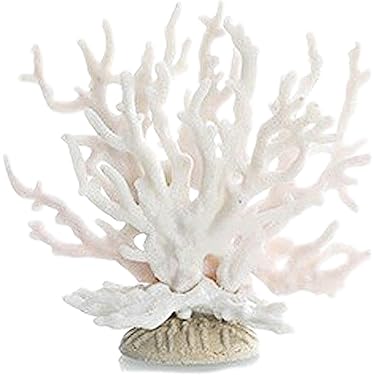 Amazon.co.jp ほしい物ランキング: 水槽用サンゴ で、ほしい物