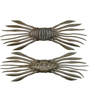 Amazon | デプス キンクーエアー 7.8inch deps KINCOO AIR ▽19