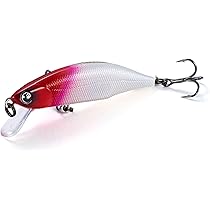 Amazon.co.jp: レイチューン（RayTune）セミハンドメイドルアー