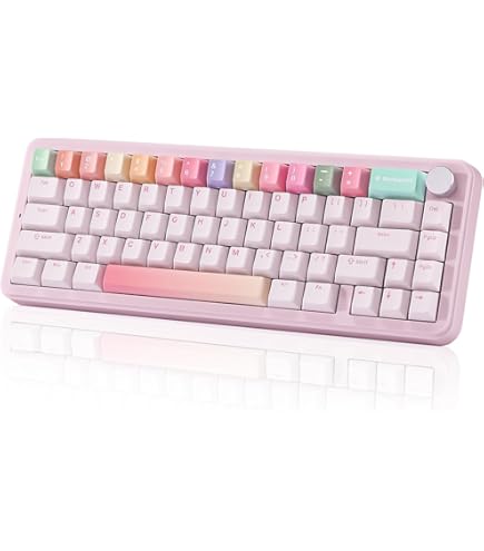 Amazon.co.jp: Varmilo Minilo VXH67 Graptopetalum Mendozae 65