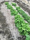 天日干し 切り藁 わら 18キロ　新潟産