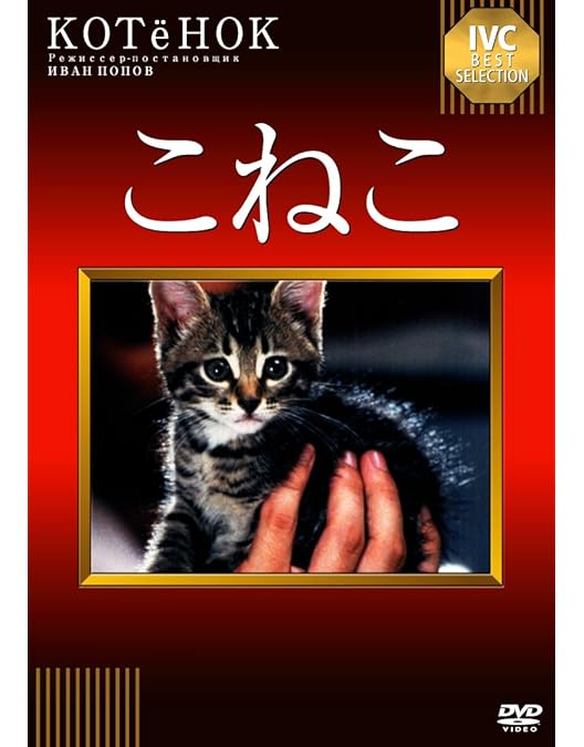 Amazon.co.jp: 猫が行方不明 セドリック・クラピッシュ監督 HDマスター