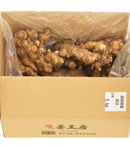 Amazon.co.jp: 種ショウガ 芽出しショウガ(近江生姜) 500g / 国華園 25