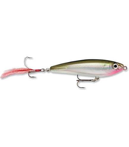 Amazon.co.jp: Rapala X-Rap Subwalk 15 フィッシングルアー (シルバー
