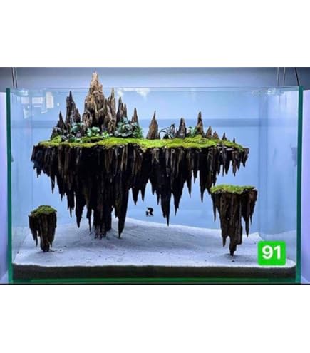 Amazon | 中型溶岩石・水草樹脂付き盆栽流木（水槽専用アート流木