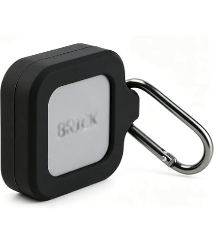 Amazon | The Brick スマートフォンアクセスブロッカー、サブスクリプ
