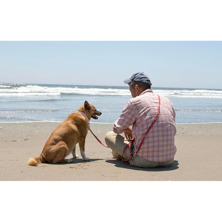 海辺の犬。 (TJMOOK) | トシ |本 | 通販 | Amazon