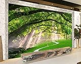 bzdhwwh 3d壁紙ナチュラルツリー風景フォト壁紙3dリビングルームベッドルーム壁フレスコ壁紙壁3 Dの 6949265160262