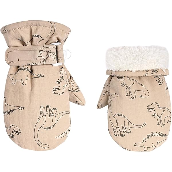 ザ ノースフェイス ベイビーキッズ スキーウェア スノーウェア +グローブ ザ ノースフェイス ベイビーキッズ スキーウェア スノーウェア +