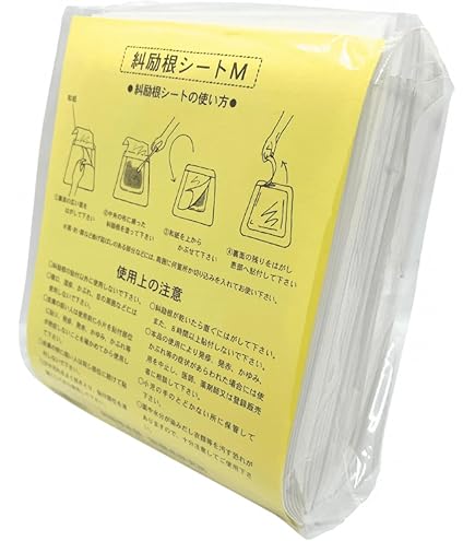 Amazon | 薬用入浴剤 智光 25g×32包 | 智光 | バスソルト 通販