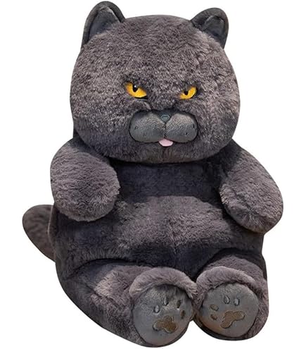 Amazon.co.jp: TAMMYFLYFLY 本物そっくりのブリティッシュショートヘア
