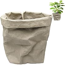 61xHnGkrimL._AC_UL210_SR210,