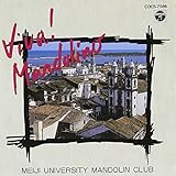 Viva!Mandolino