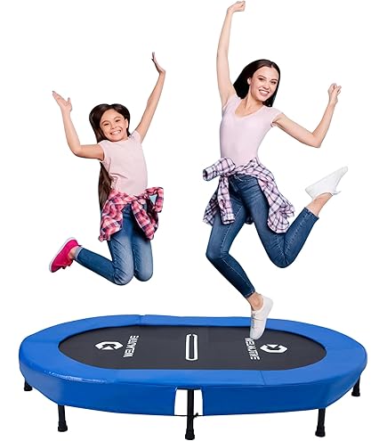 Amazon | HONEI (直径：150cm)大型 トランポリン トランポリン