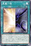 遊戯王 23PP-JP005 表裏一体 (日本語版 ノーマル) PREMIUM PACK 2023 プレミアムパック